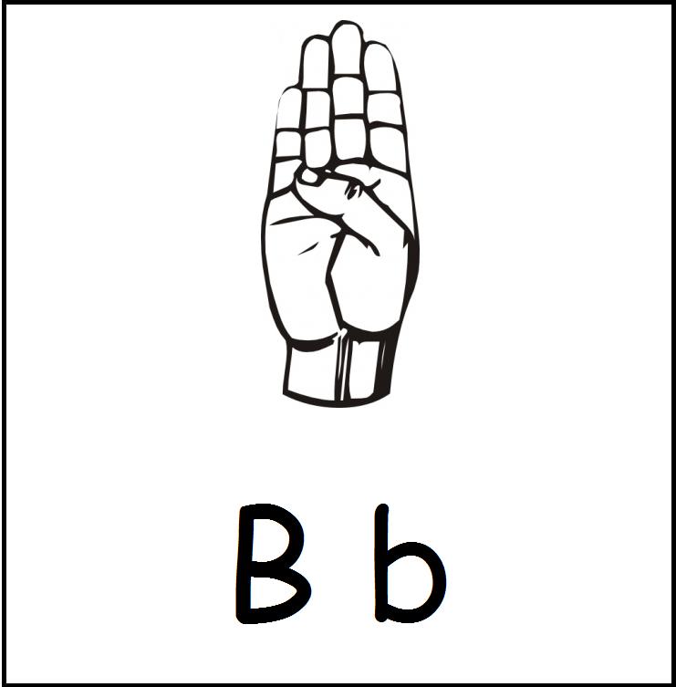 Bb.jpg